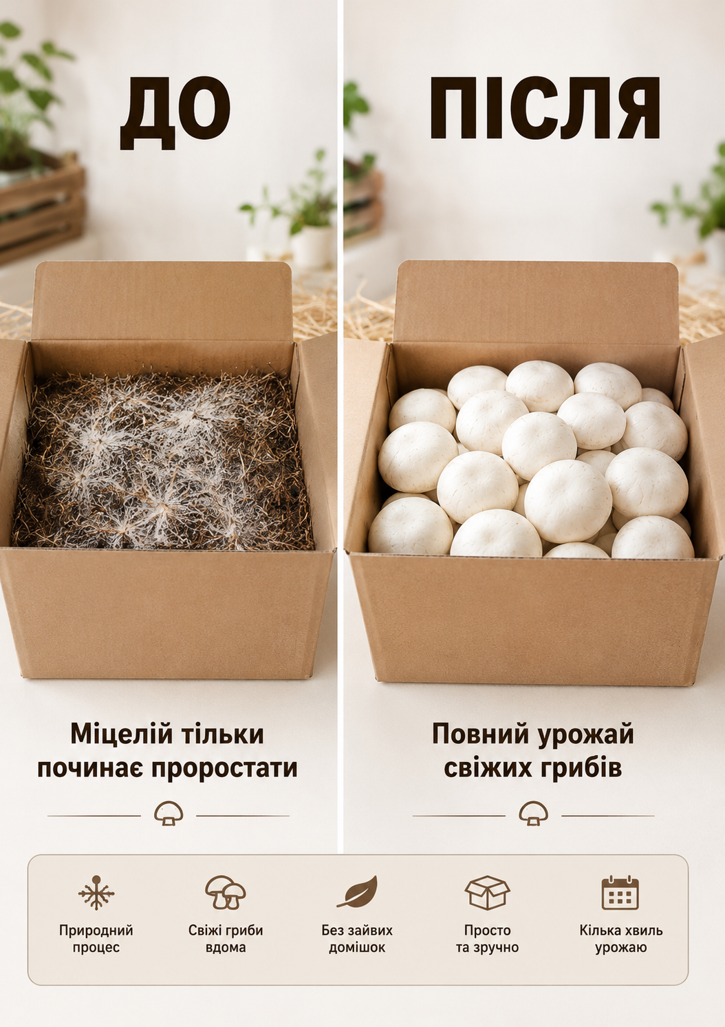 Портрет человека