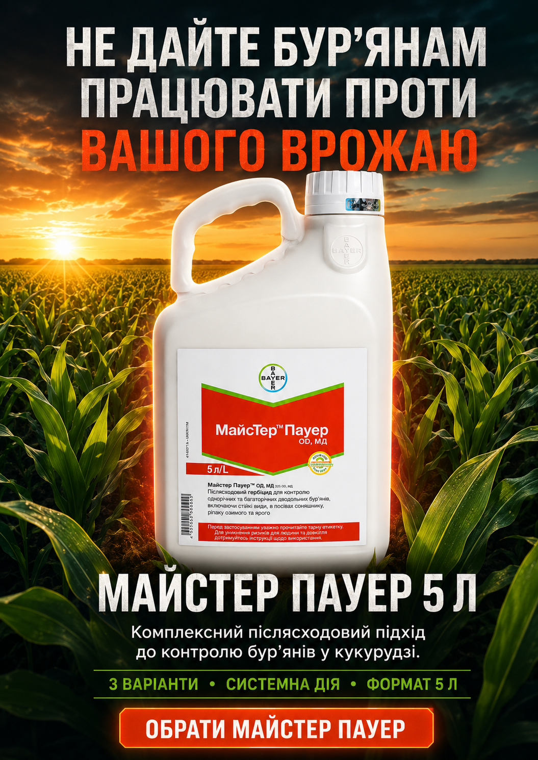 Портрет человека