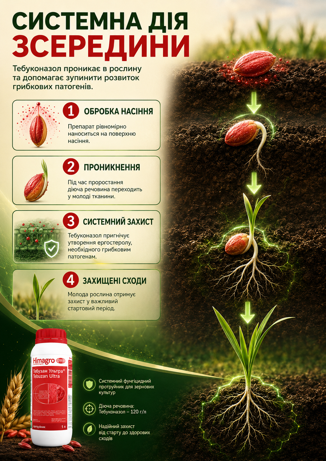 Портрет человека
