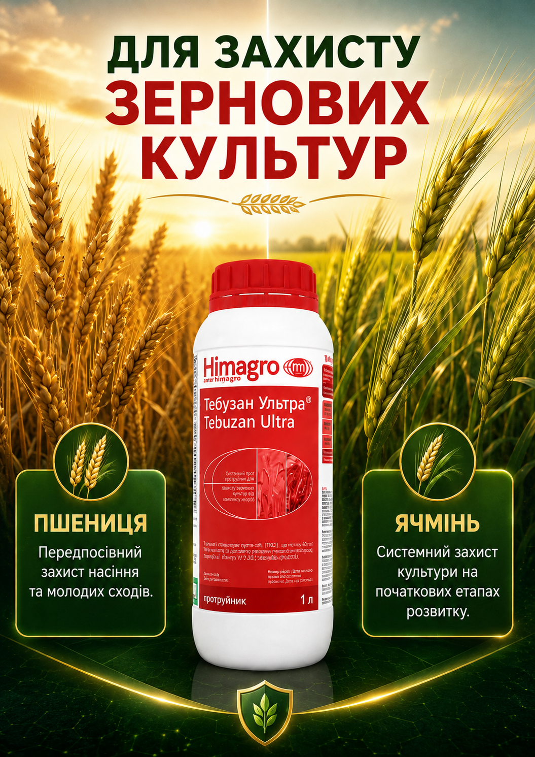 Портрет человека