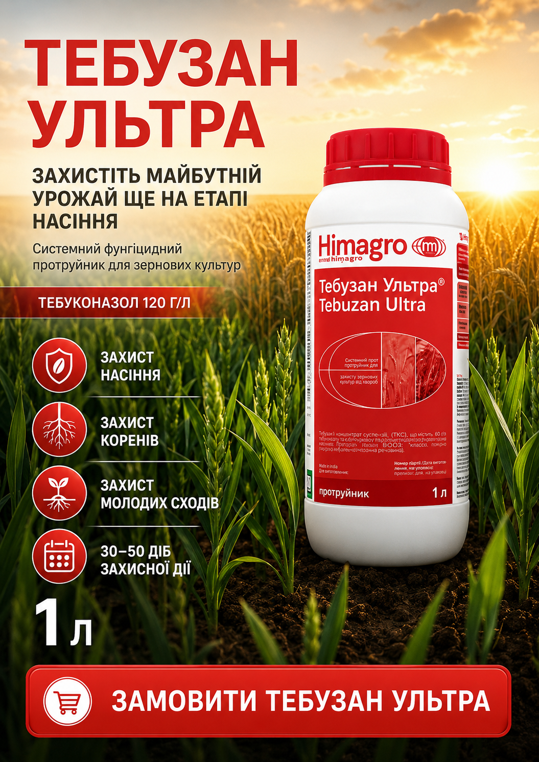 Портрет человека
