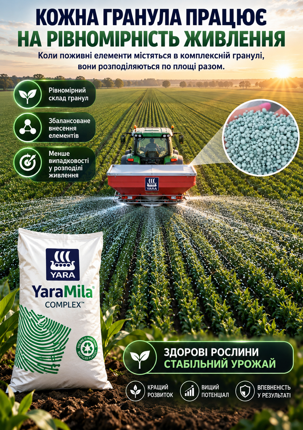 Портрет человека